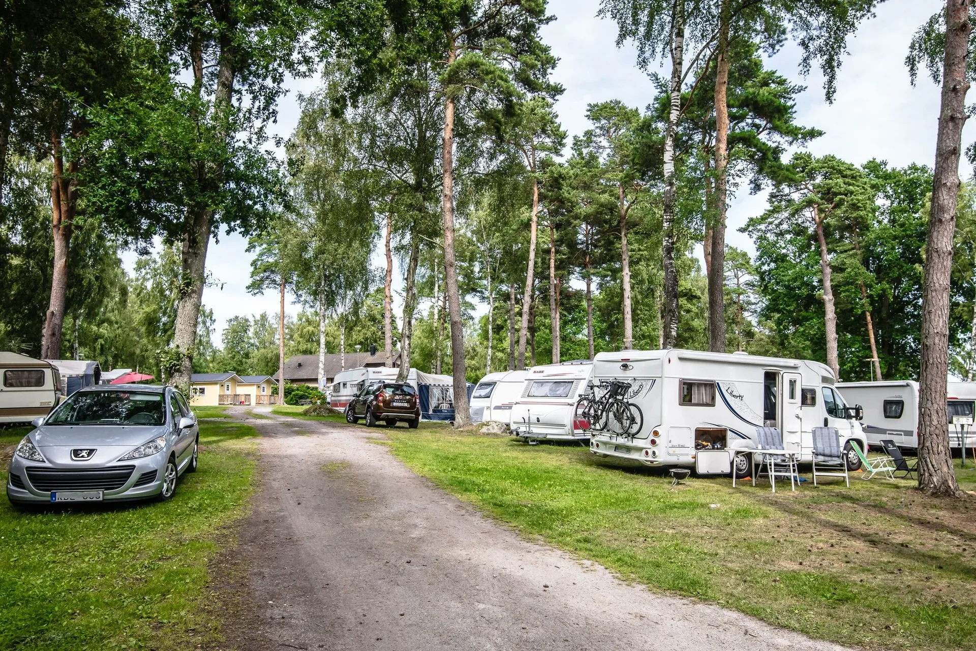Husvagnar uppställda längs grusväg under höga tallar