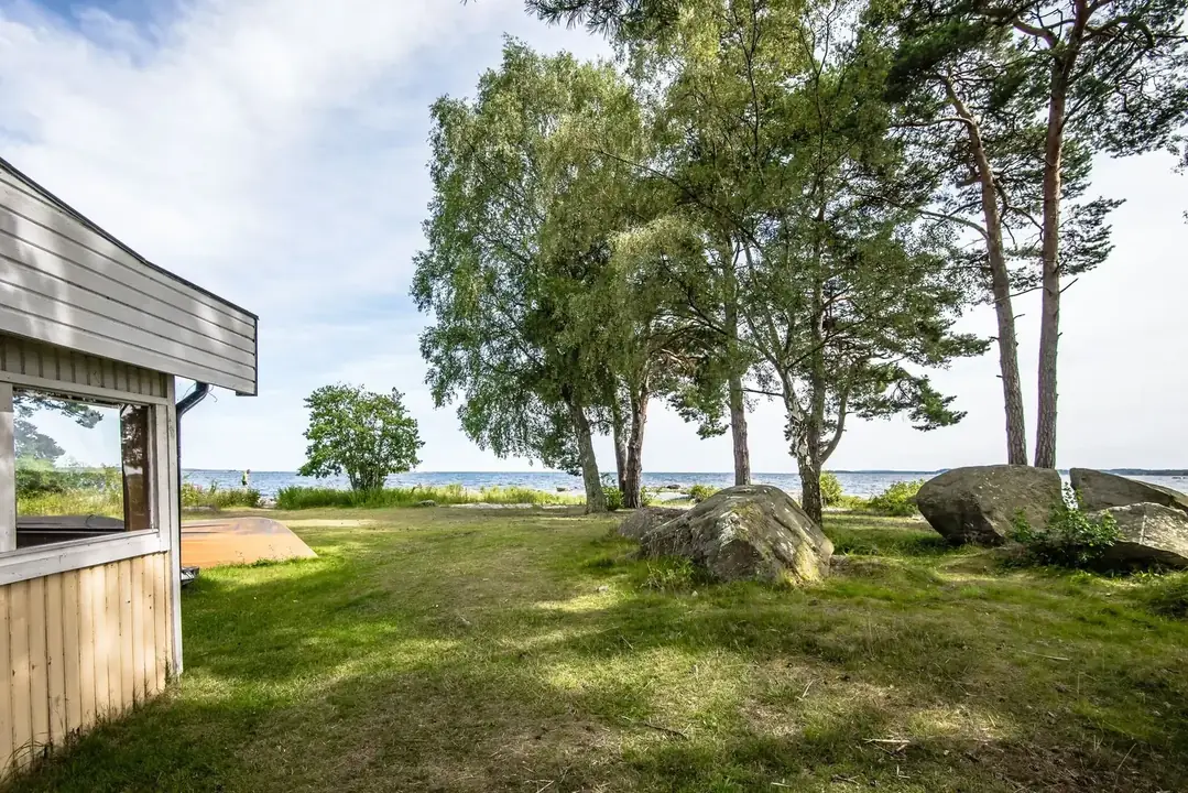 Gräsyta med björkar och stenblock ner mot havet